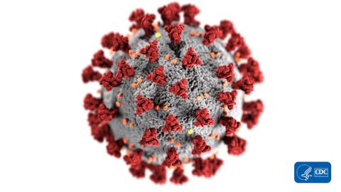 3D rendering of the COVID-19 (coronavirus) virus cell